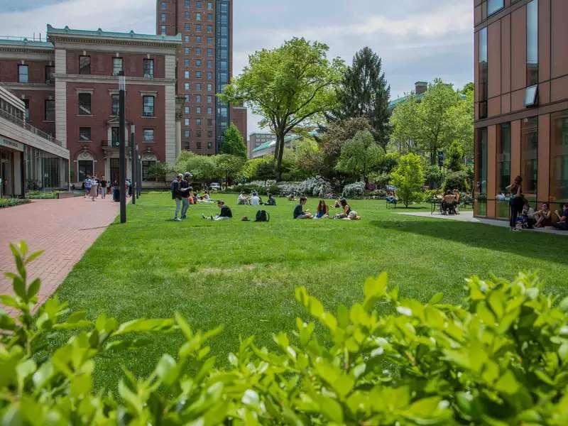 Students-on-Green-Lawn